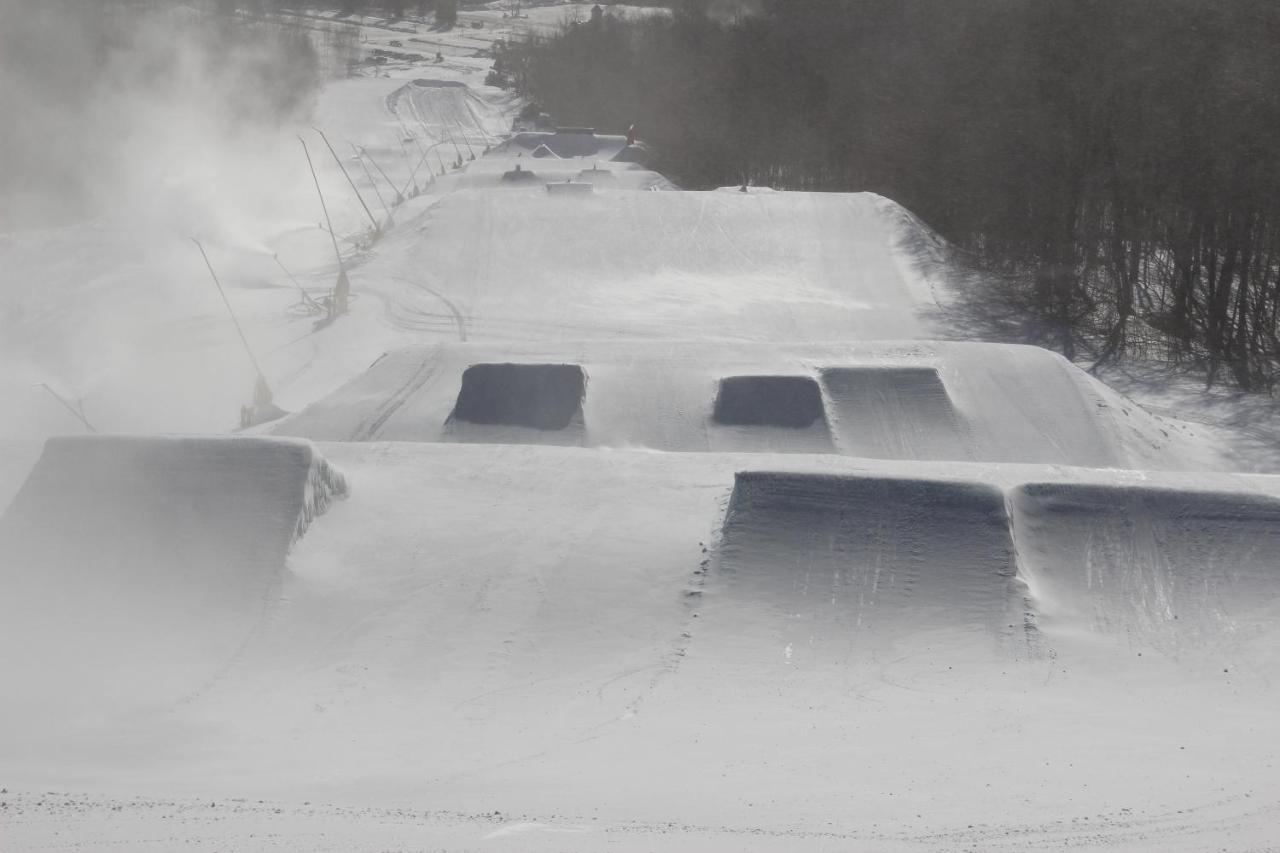The Black Bear At Stratton Mountain