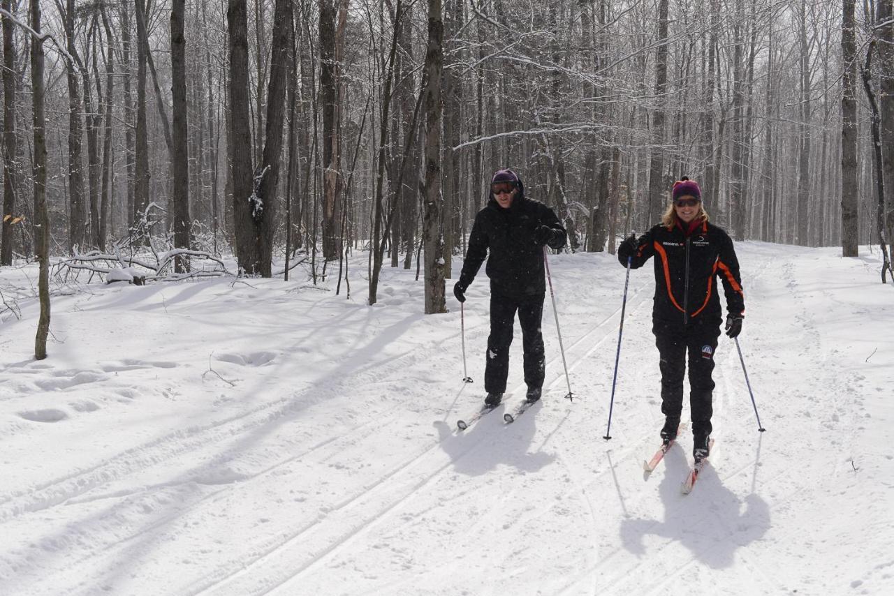 The Black Bear At 2* Stratton Mountain