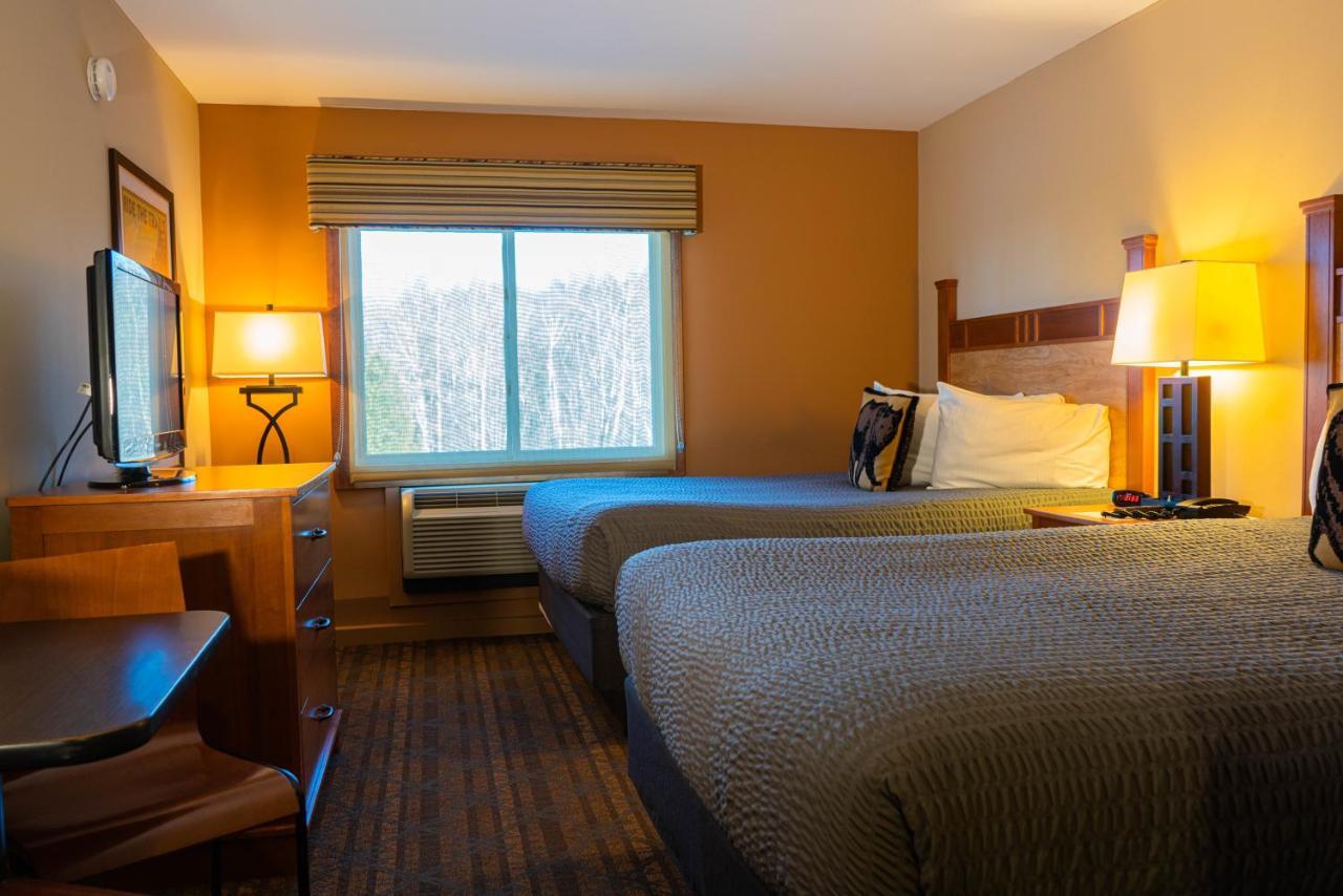 The Black Bear At 2* Stratton Mountain